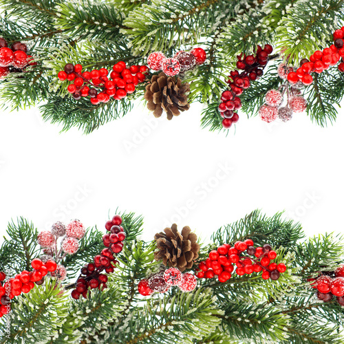 christmas tree branch with red berrries