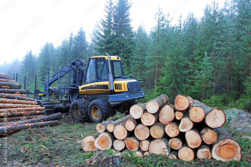 Forwarder at Logging Site Forwarder at Logging Site