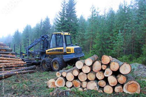 Valokuva Forwarder at Logging Site