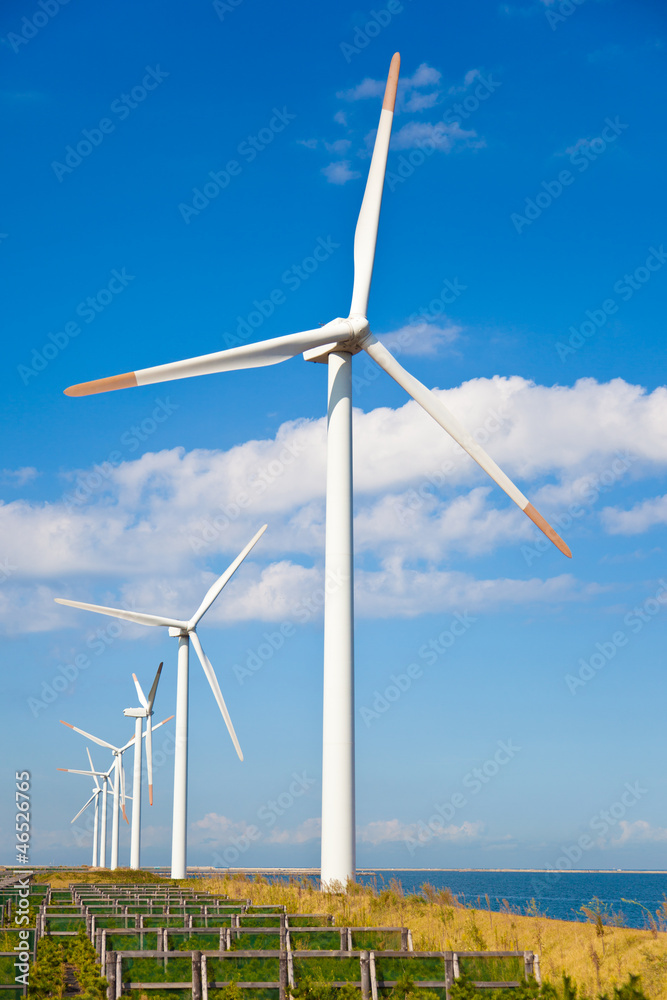 Fototapeta premium Wind farm