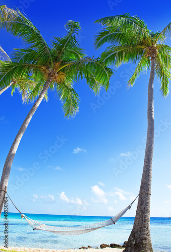 Hammock between palm trees and the sea