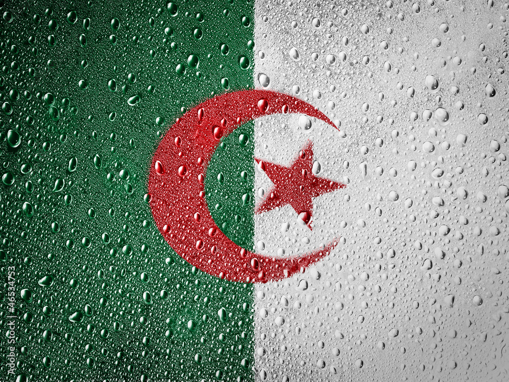 The Algerian flag The Algerian flag