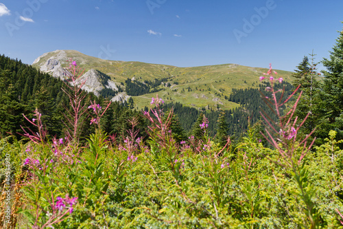 Ilgaz Mountains, Kastamonu, Turkey photo