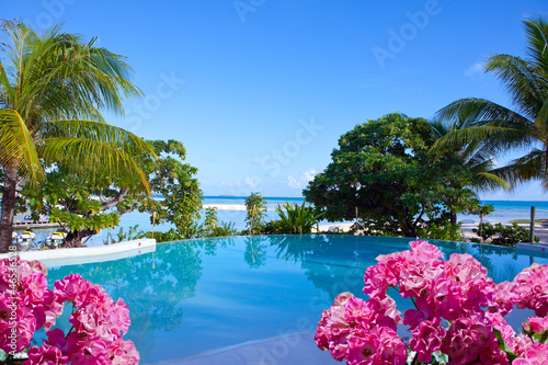The pool on the seashore in tropical plants and flowers
