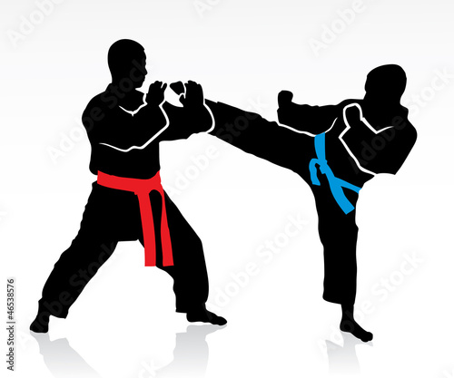 Martial arts silhouettes - vector illustration