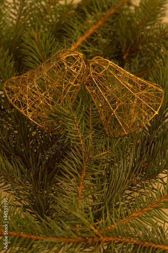 golden bells on the background of spruce branches