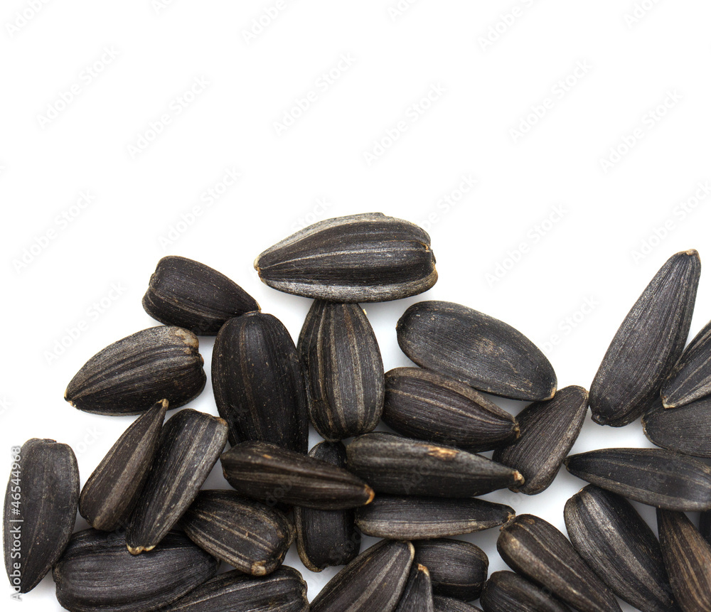 black seeds on a white background. macro black seeds on a white background. macro