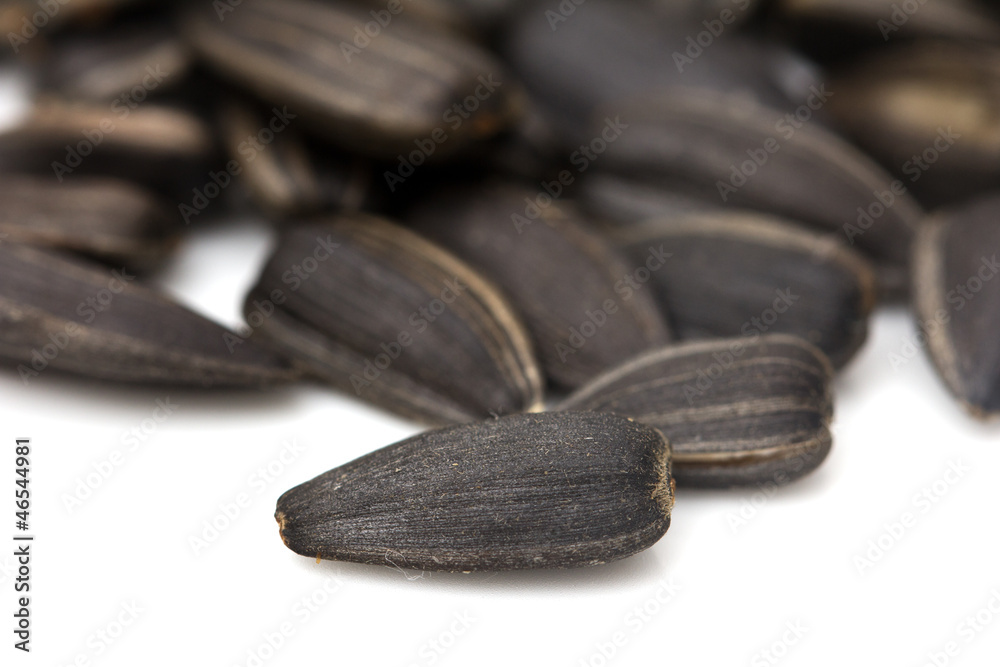 black seeds on a white background. macro black seeds on a white background. macro
