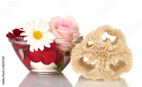 Obraz na płótnie Loofah isolated on white