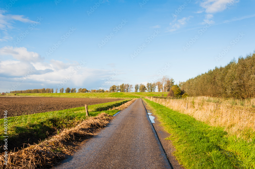 Naklejka premium Narrow country road in a Dutch autumn landscape