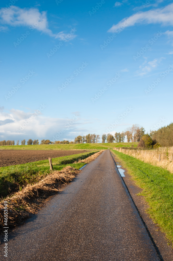 Naklejka premium Narrow country road after the rain