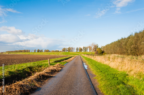Narrow country road in a Dutch autumn landscape