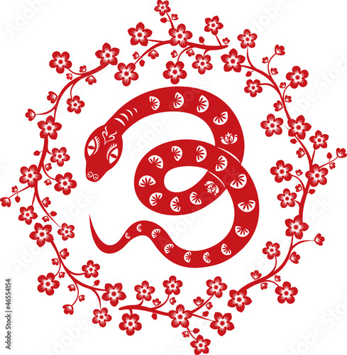 Snake. Chinese  symbol of year 2013
