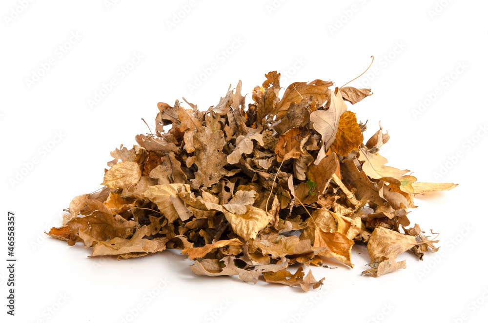 Herbstlaub auf einem Haufen Herbstlaub auf einem Haufen