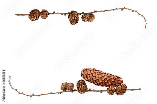 simple natural frame with pine cones