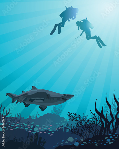 Fototapeta Naklejka Na Ścianę i Meble -  Divers looking to the shark