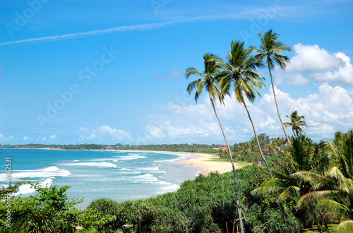 Beach, palms and turquoise water of Indian Ocean, Bentota, Sri L © slava296