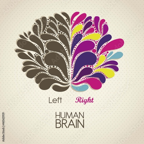 Human brain
