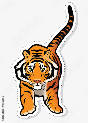 Fototapeta Naklejka Na Ścianę i Meble -  Tiger sticker