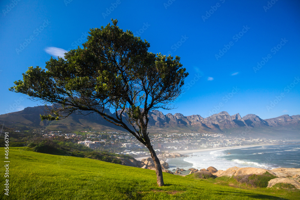 Grass and Blue Sky