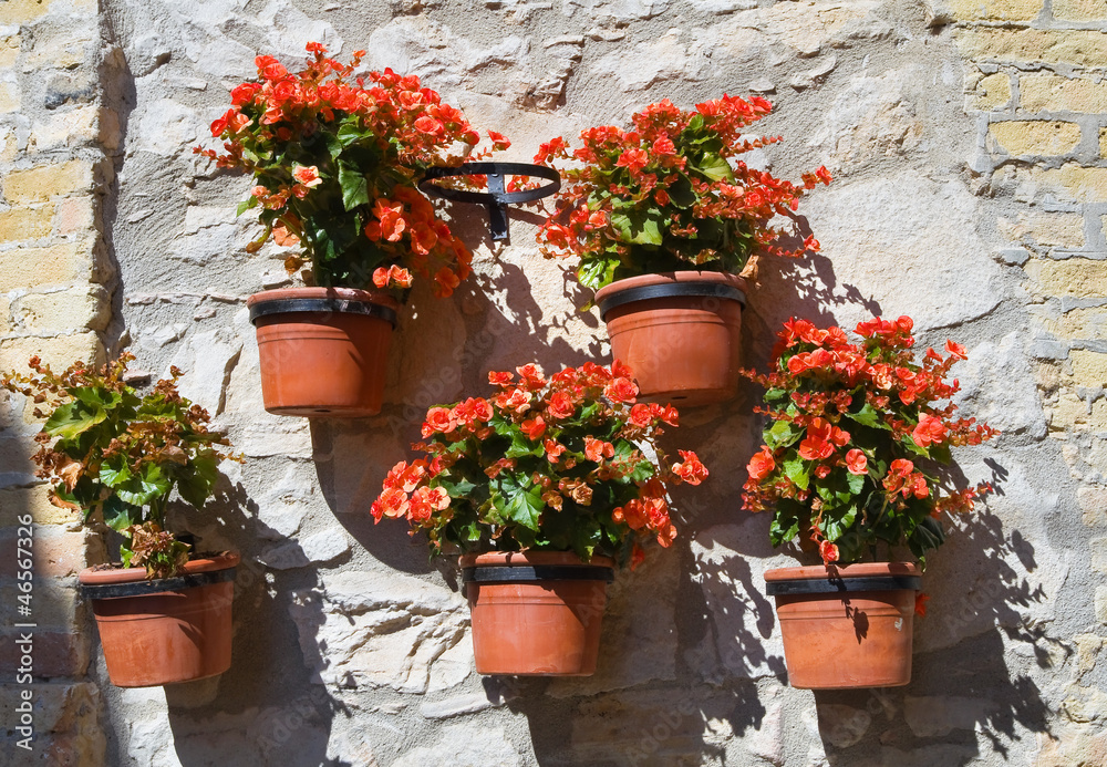 Flowerpots.