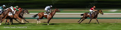 Obraz Wyścig jeździecki