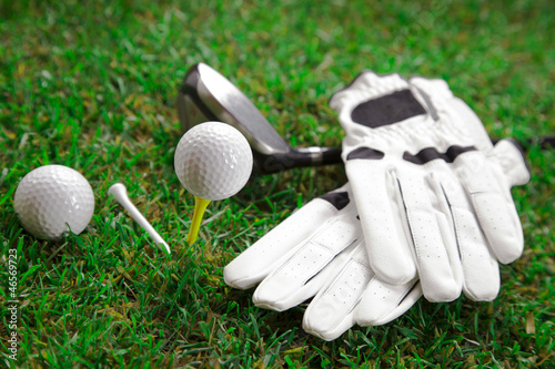 Photos Let's play a round of golf!