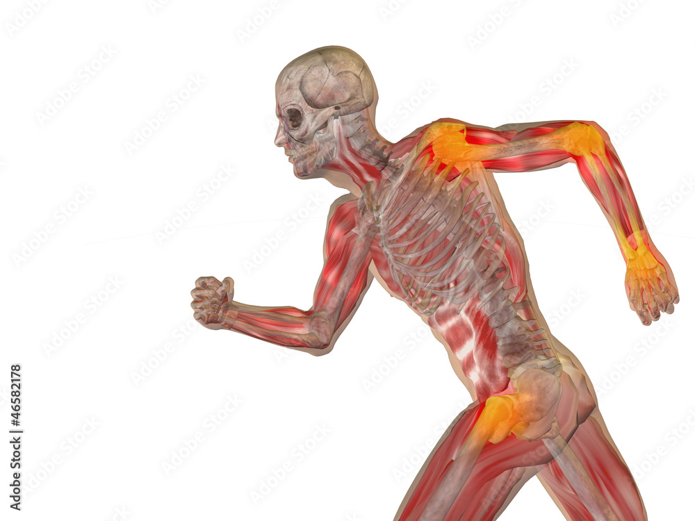 High resolution 3D human ideal for anatomy,medicine and health High resolution 3D human ideal for anatomy,medicine and health