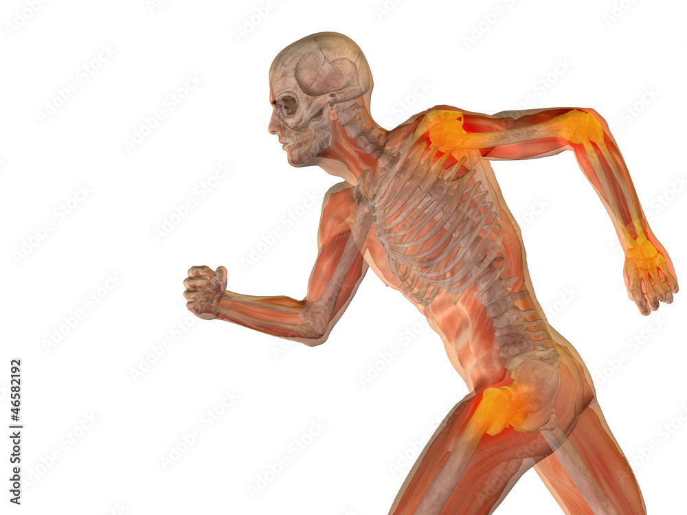 High resolution 3D human ideal for anatomy,medicine and health High resolution 3D human ideal for anatomy,medicine and health