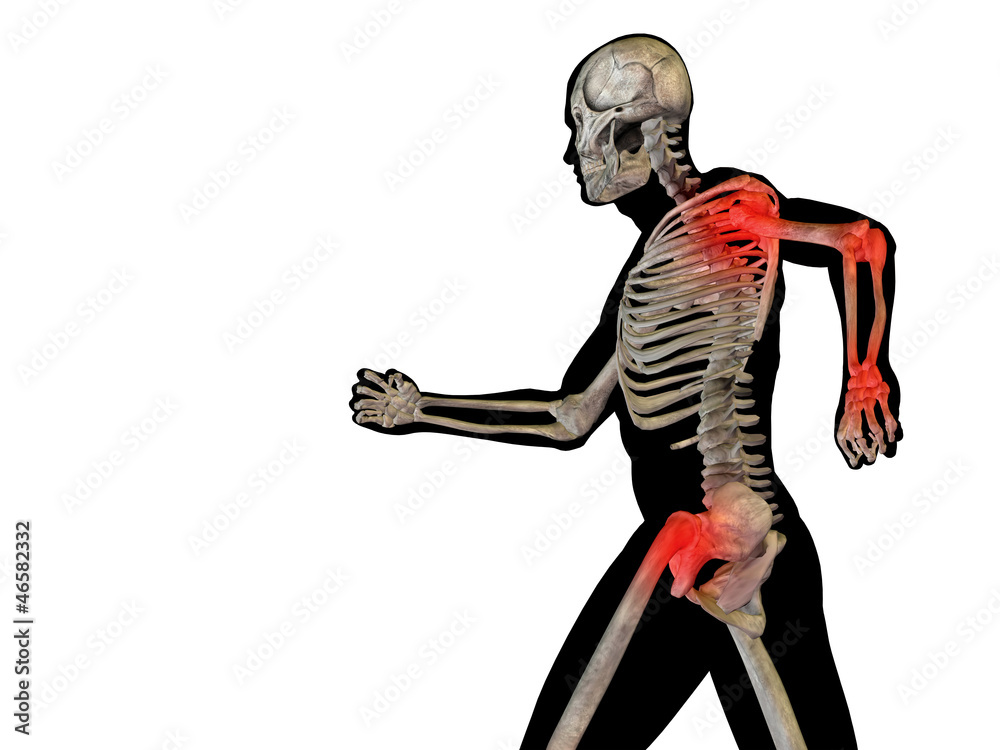 High resolution 3D human ideal for anatomy,medicine and health High resolution 3D human ideal for anatomy,medicine and health