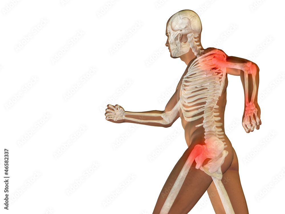 High resolution 3D human ideal for anatomy,medicine and health High resolution 3D human ideal for anatomy,medicine and health