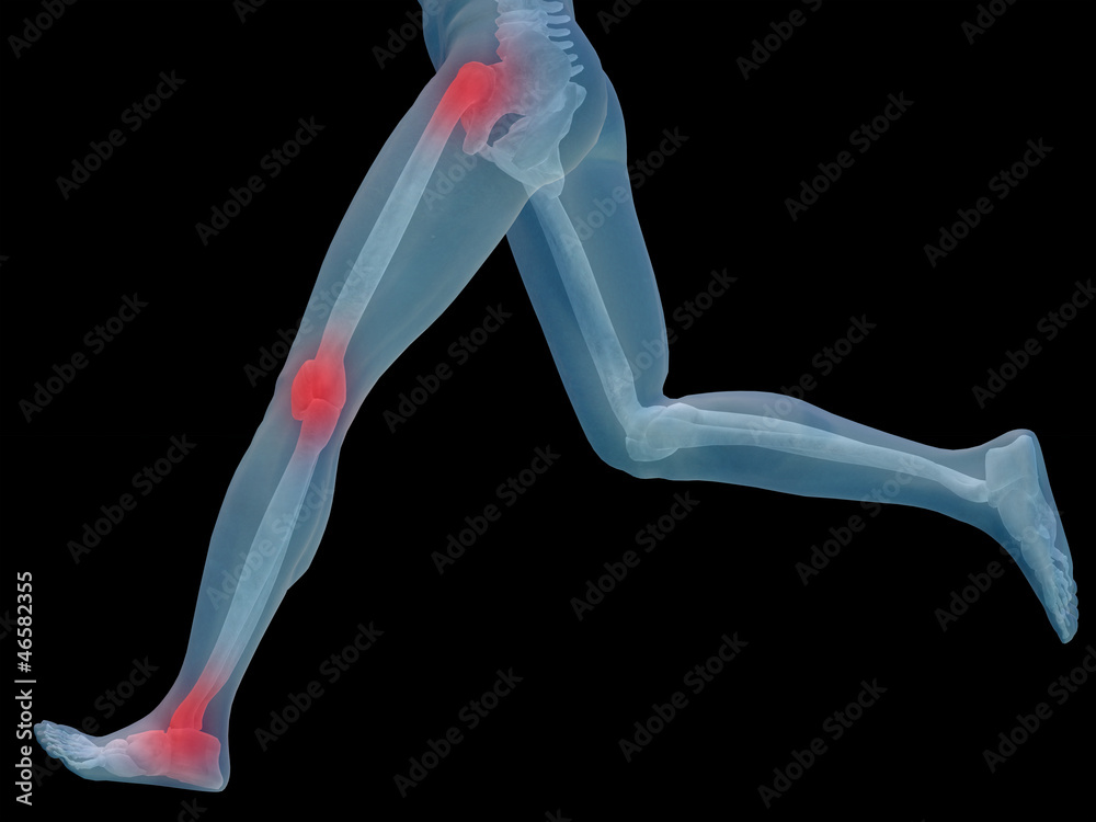 Obraz premium High resolution 3D human for anatomy,medicine and health