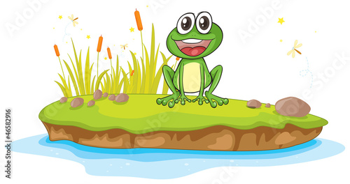 a frog and water