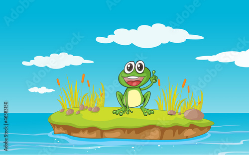 a frog and water