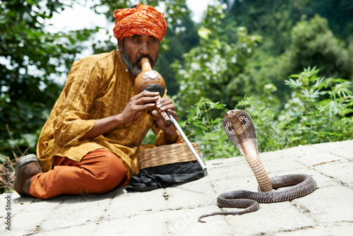 charmer of snake in India photo
