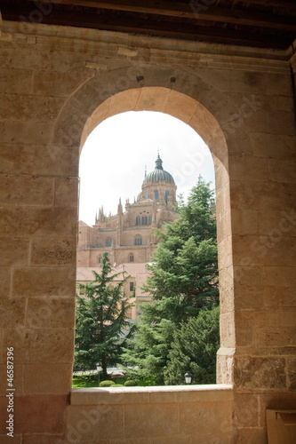 La Clerecia - View from Convento San Esteban photo