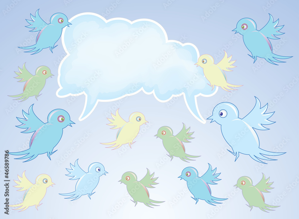 birds birds