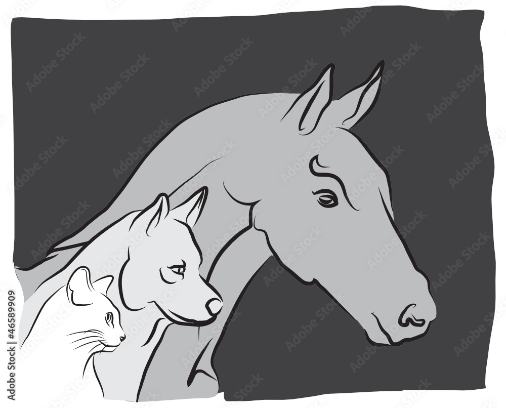 Fototapeta premium vétérinaire pour chien, chat et cheval