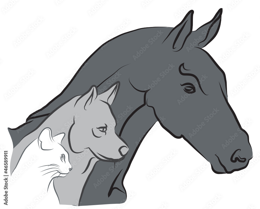 logo chat, chien et cheval - vétérinaire