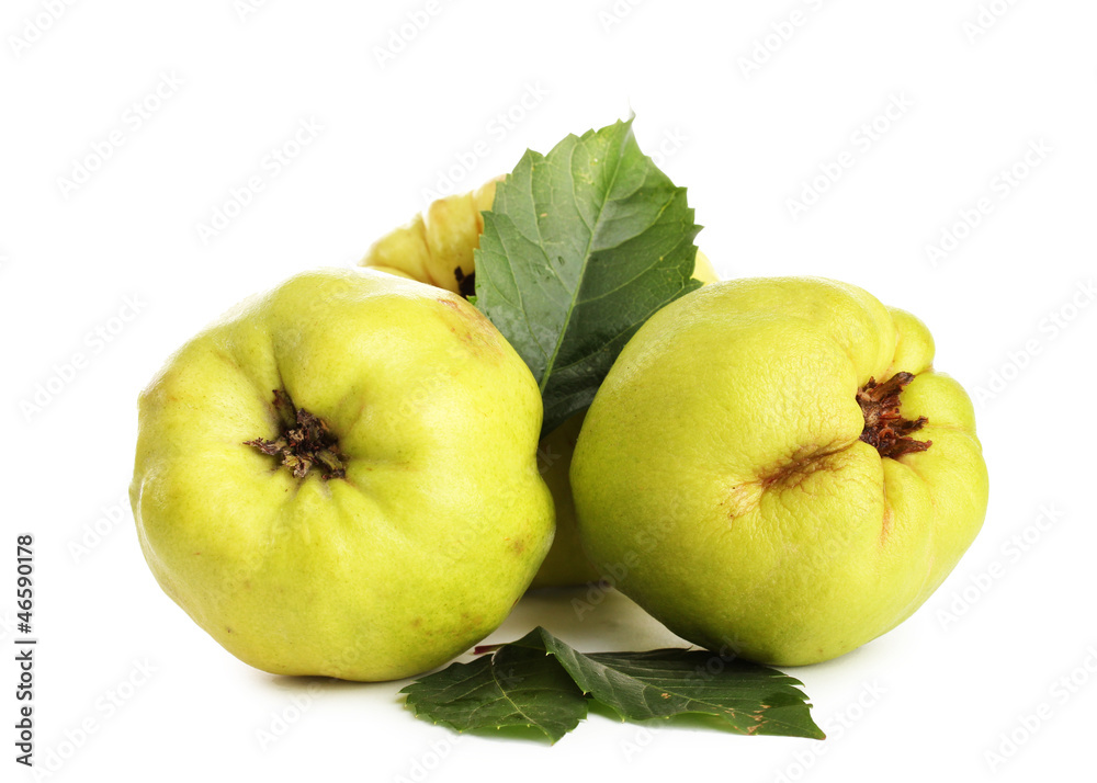 sweet quinces with leaves, isolated on white sweet quinces with leaves, isolated on white