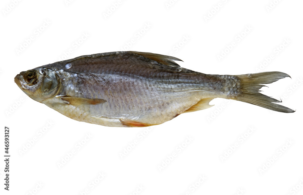 dried fish dried fish
