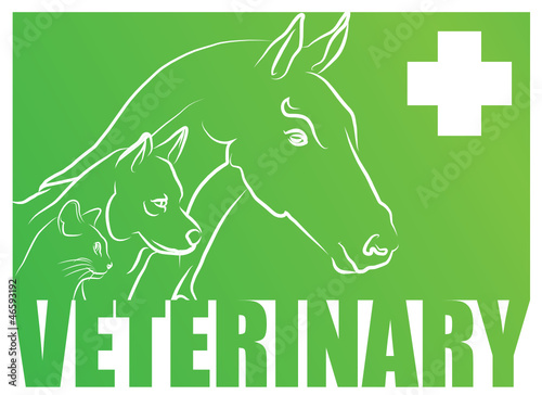 vétérinaire pour carnés et animaux de compagnie