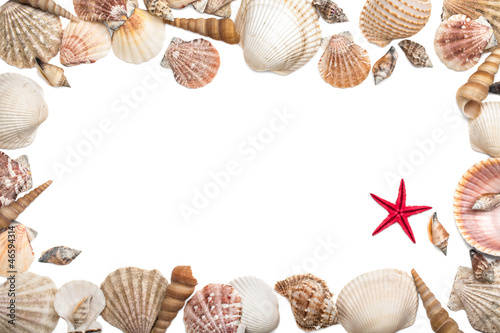 Sea shells frame on white background