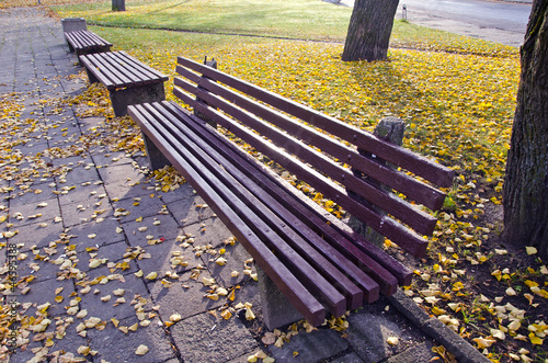 benches group in autumn park