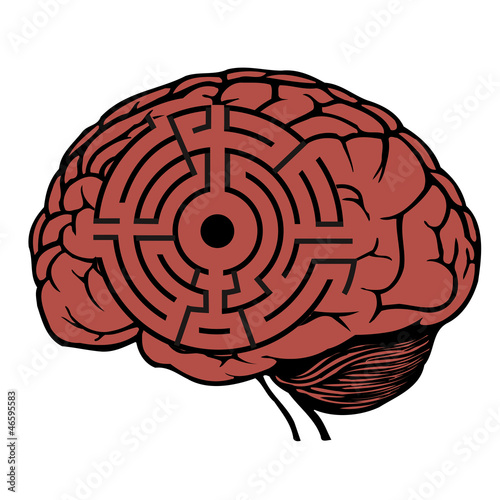 vector rounded maze in human brain