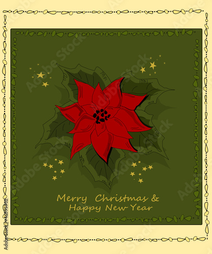Weihnachtsstern Grusskarte. New Year