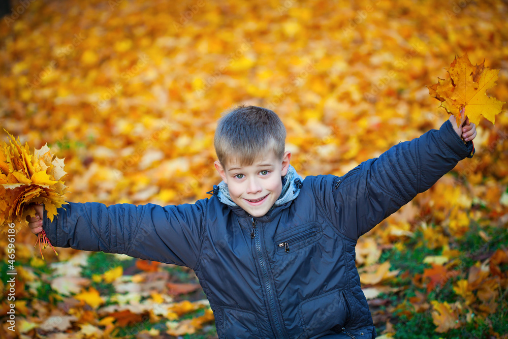 happy kid on a background of autumn leafs happy kid on a background of autumn leafs