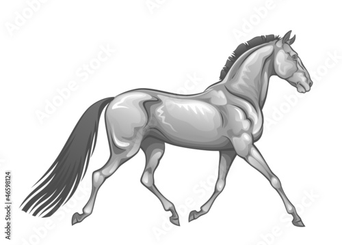 Silver horse