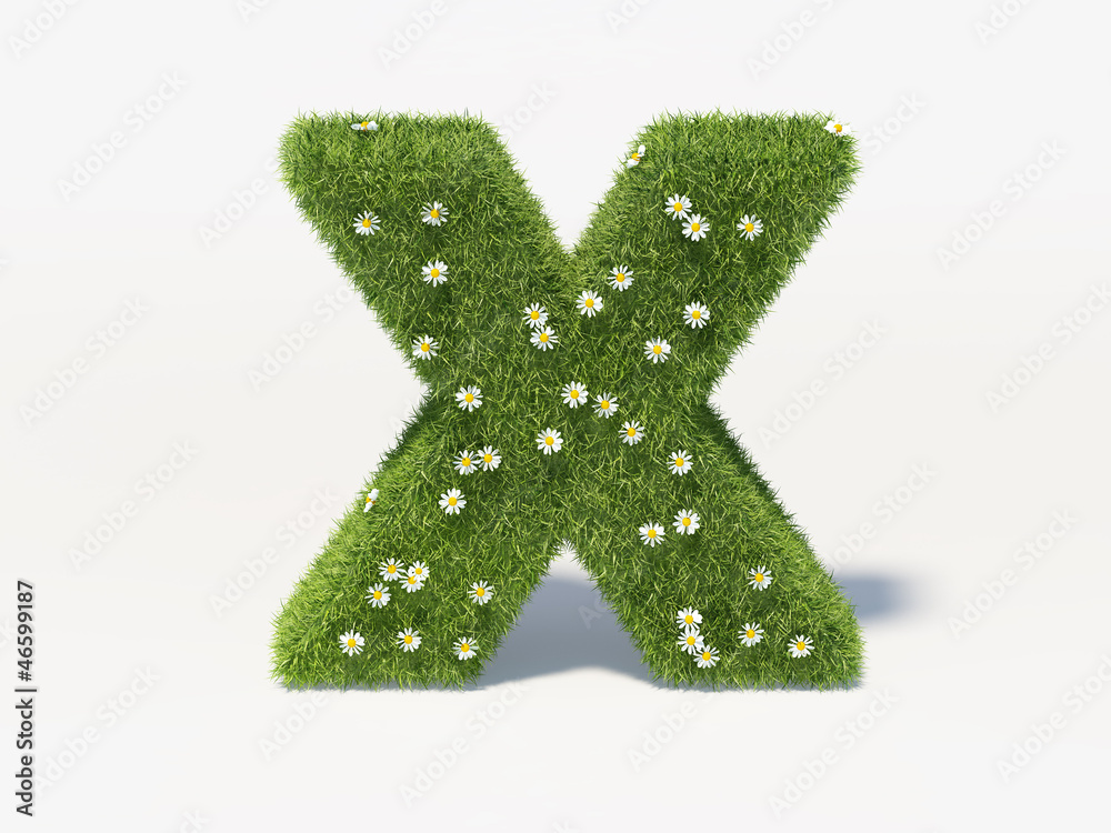 X Symbol 3D X Symbol 3D
