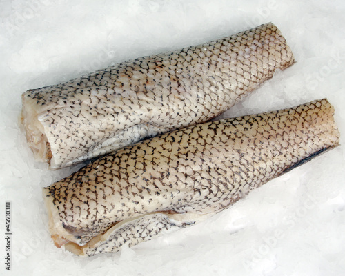 frozen cod (pallock) on ice